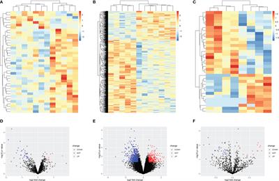 MiR-320b and miR-320d as Biomarkers to Predict and Participate in the Formation of Platinum Resistance in Ovarian Cancer Patients